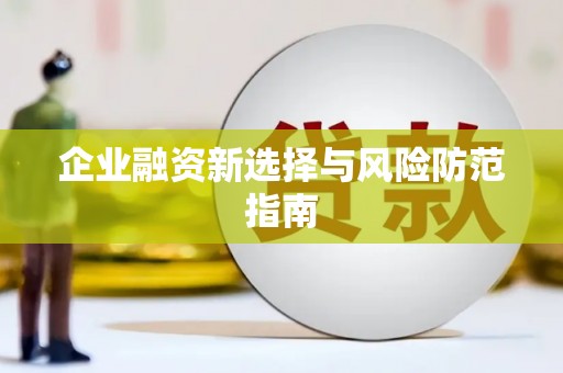庄浪企业融资新选择与风险防范指南