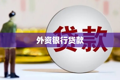 庄浪外资银行贷款