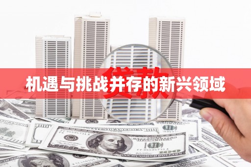 庄浪机遇与挑战并存的新兴领域