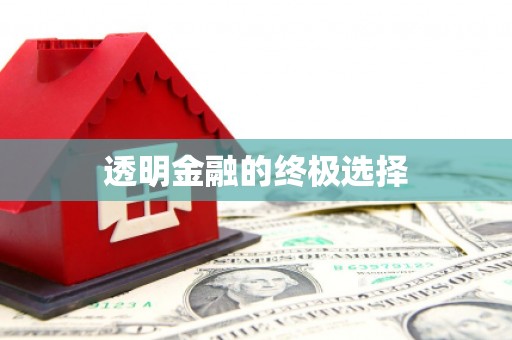庄浪透明金融的终极选择