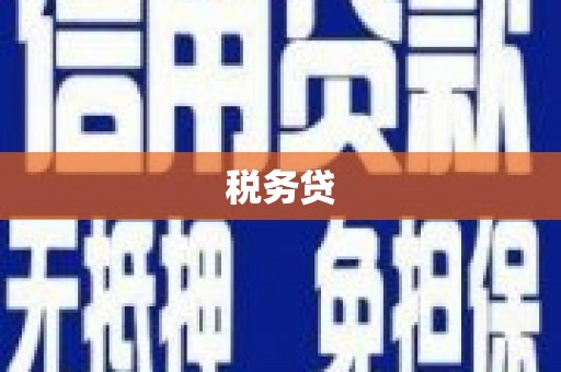 庄浪税务贷