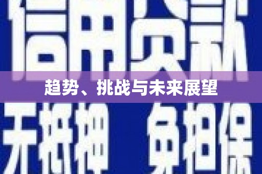 庄浪趋势、挑战与未来展望