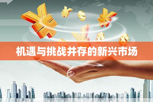 庄浪机遇与挑战并存的新兴市场