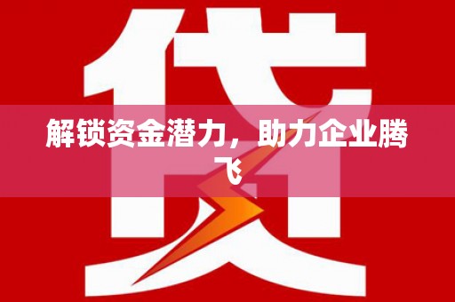 庄浪解锁资金潜力，助力企业腾飞