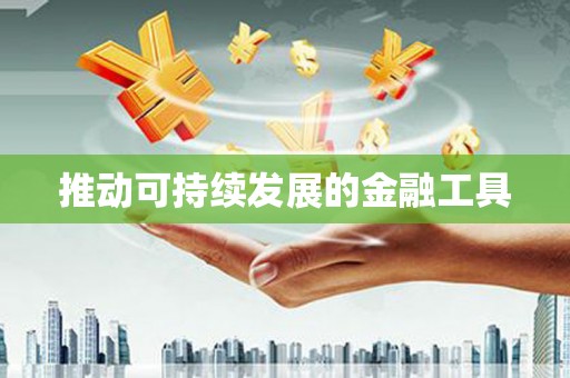 庄浪推动可持续发展的金融工具