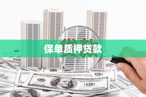 庄浪保单质押贷款