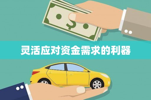 庄浪灵活应对资金需求的利器
