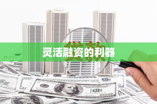 庄浪灵活融资的利器