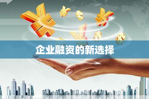庄浪企业融资的新选择