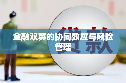庄浪金融双翼的协同效应与风险管理