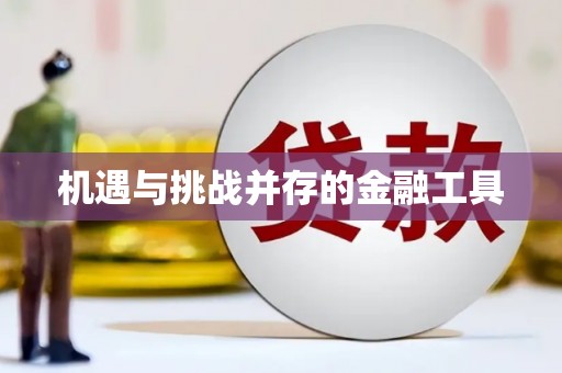庄浪机遇与挑战并存的金融工具