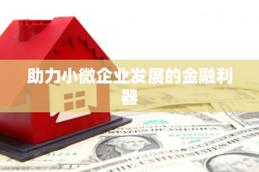 庄浪助力小微企业发展的金融利器