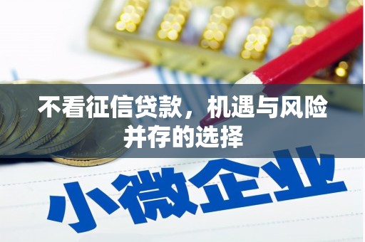 庄浪不看征信贷款，机遇与风险并存的选择