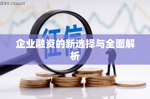 庄浪企业融资的新选择与全面解析