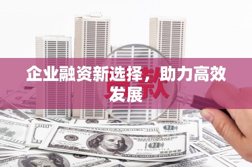 庄浪企业融资新选择，助力高效发展