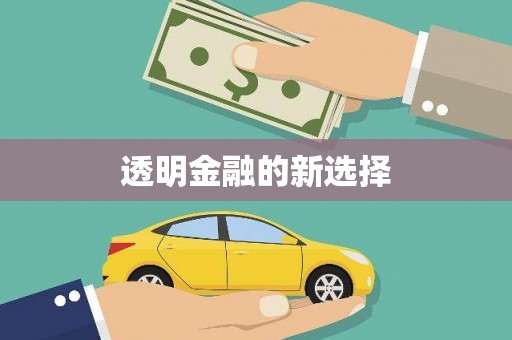 庄浪透明金融的新选择