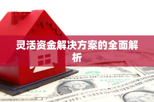 庄浪灵活资金解决方案的全面解析