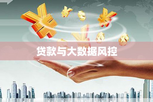 庄浪贷款与大数据风控