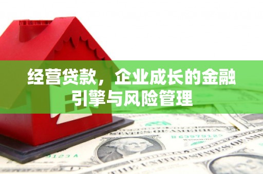 庄浪经营贷款，企业成长的金融引擎与风险管理