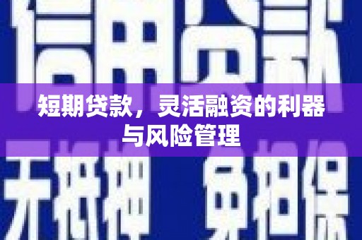 庄浪短期贷款，灵活融资的利器与风险管理