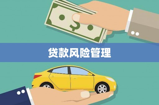 庄浪贷款风险管理