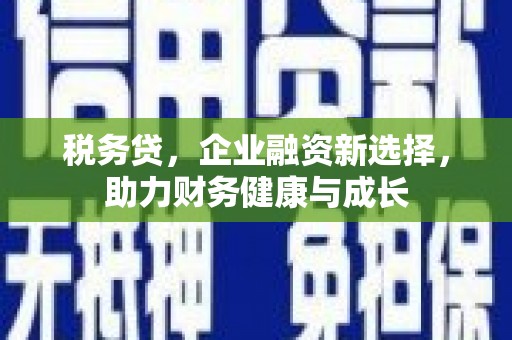 庄浪税务贷，企业融资新选择，助力财务健康与成长