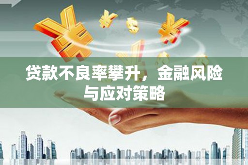 庄浪贷款不良率攀升，金融风险与应对策略