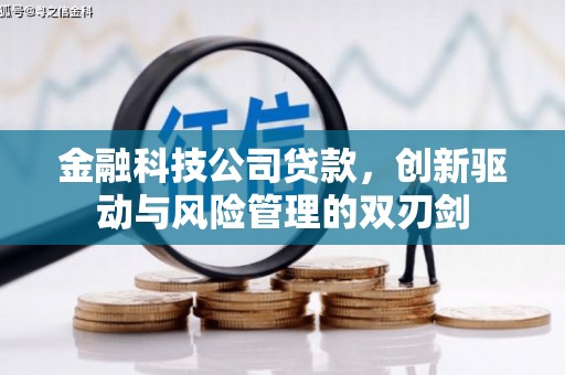 庄浪金融科技公司贷款，创新驱动与风险管理的双刃剑
